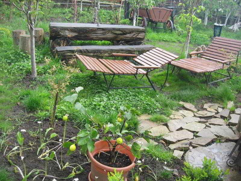 Leaganul Bucovinei Guest House Suceava Luaran gambar